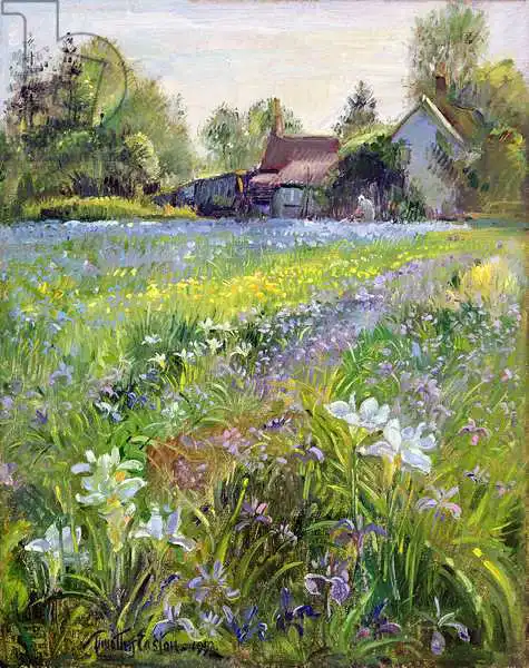 Easton, Timoth: Dwarf Irises and Cottage