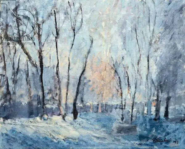 Espir, Patricia: Snow in the Garden