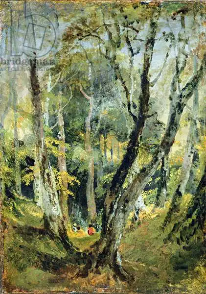 Turner, William: A Beech Wood with Gypsies seated in the Distance, c.1799-1801