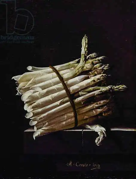 Coorte, Adrian: Bunch of Asparagus