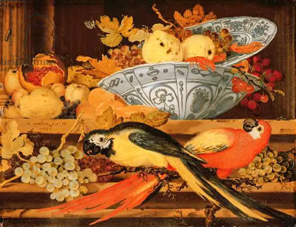 Ast, Balthasar van der: Nature morte avec les fruits et les pacaws