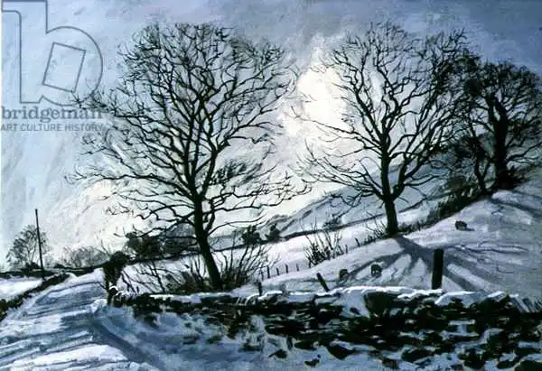 Cooke, John: Winter Afternoon in Dentdale