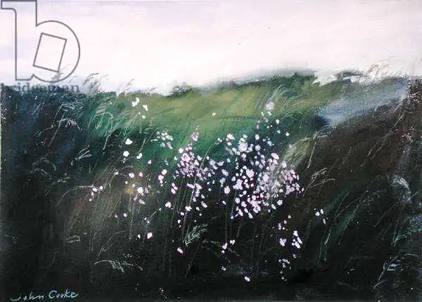 Cooke, John: Norfolk Evening