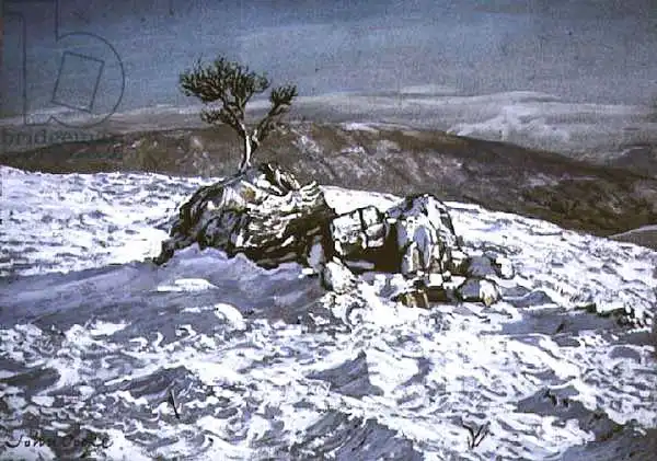 Cooke, John: Barbondale Tree, Barbon, nr Kirby Lonsdale, Cumbria