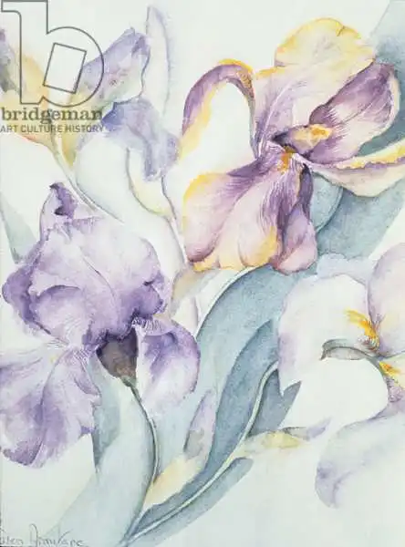 Armitage, Karen: Iris Mixed, Ola Kale et Mary Todd