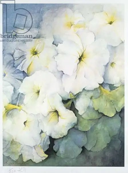 Armitage, Karen: Petunia Palla di Neve