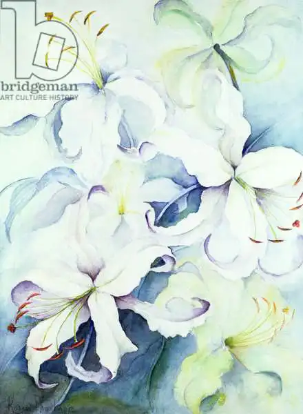 Armitage, Karen: Lilium, or impérial