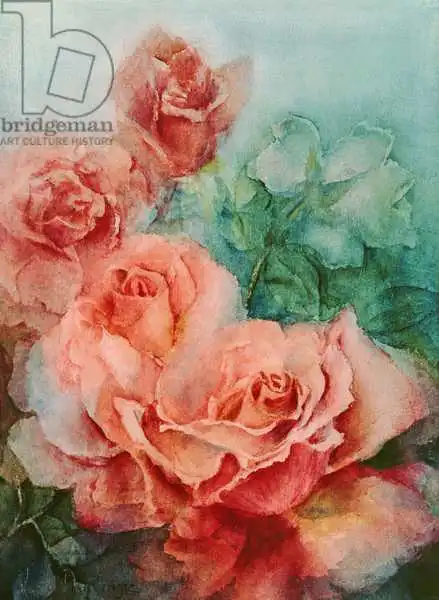 Armitage, Karen: Roses roses, ballerine prima