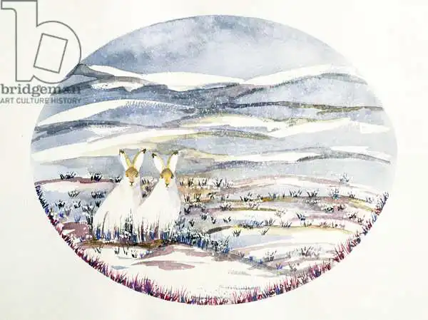Kennett, Suzi: Two Hares in a Snowy Landscape