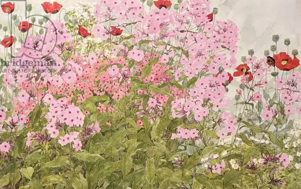 Benton, Linda: Phlox rose et coquelicots avec un papillon