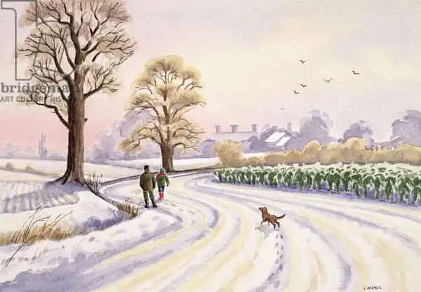 Hamer, Lavinia: Walk in the Snow