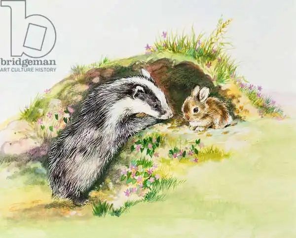 Matthes, Diane: Badger and a Rabbit