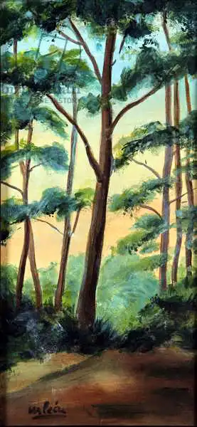 Leon, Marisa: La luz en el bosque