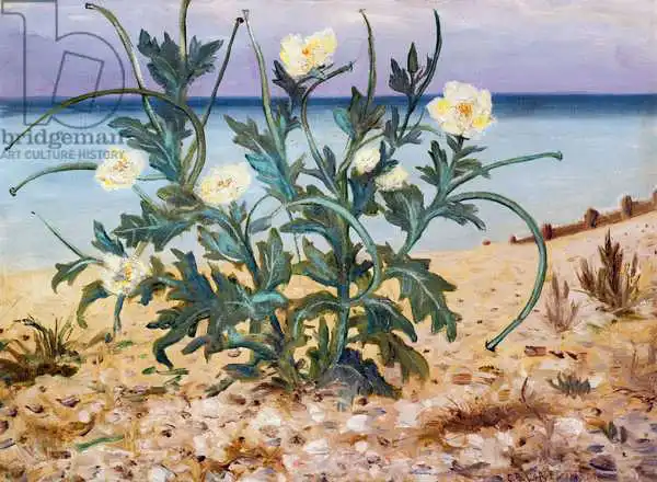 Nevinson, Christopher Richard Wynne: Dunes de sable, côte est
