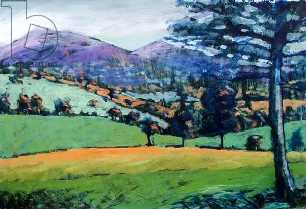 Powis, Pau: Matin brumeux
