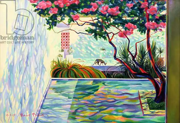 Tyndall, Robert: Cat in a Mexican Garden