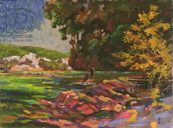 Tyndall, Robert: Picnic