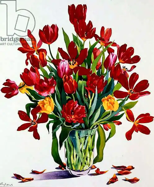 Ryland, Christophe: Tulipes