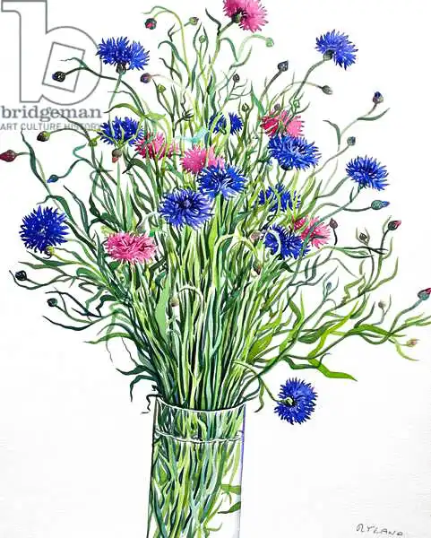 Ryland, Christophe: Floraison