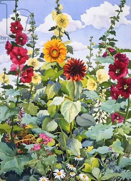 Ryland, Christophe: Hollyhocks et tournesols