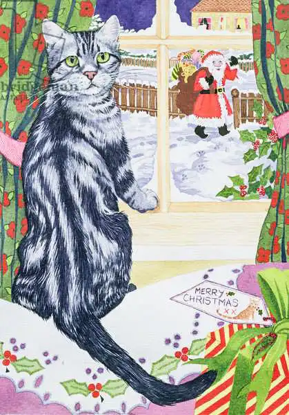 Bailey, Suzanne: Un visiteur de Noël pour Toby
