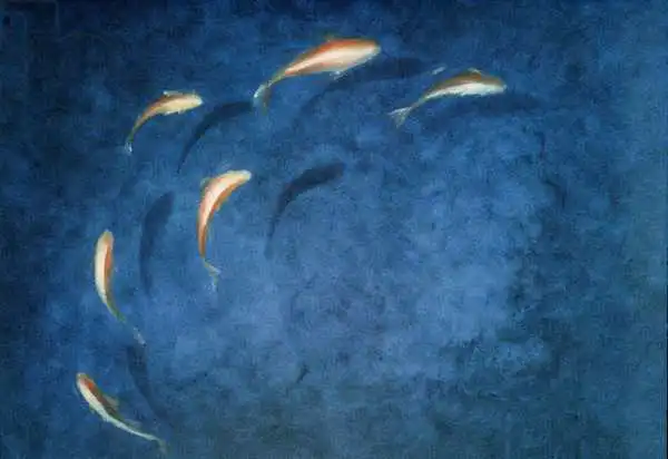 Seligman, Lincol: Piscine de poisson rouge