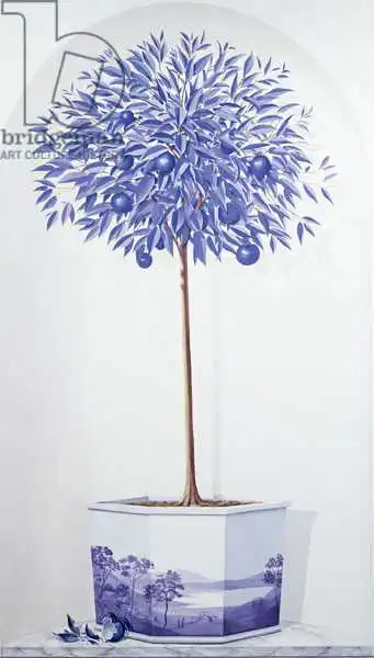 Seligman, Lincol: Tree bleue en Chine dans une niche