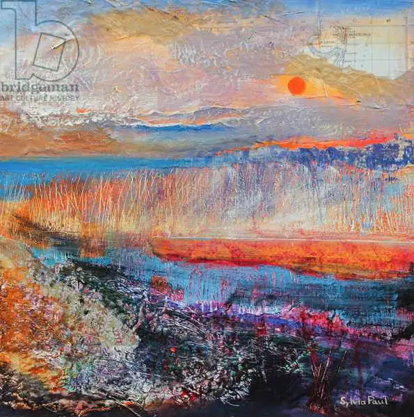 Paul, Sylvi: Sumpf Sonnenuntergang