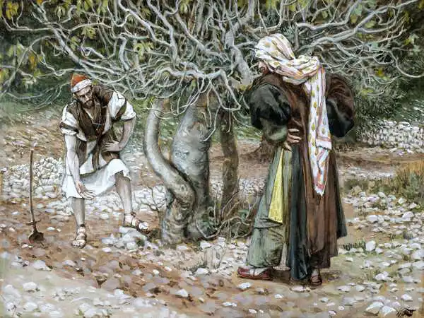 James Jacques Joseph Tissot Barren Fig Tree illustration for The