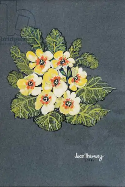 Thewsey, Joa: Yellow Primrose 2012