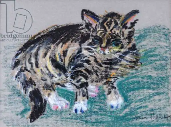 Thewsey, Joa: Tabby Cat
