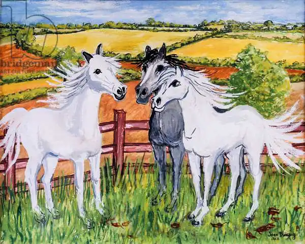 Thewsey, Joa: Three Frisky Horses