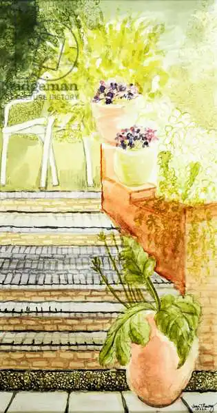 Thewsey, Joa: Cynthia Garden;Steps and Pots