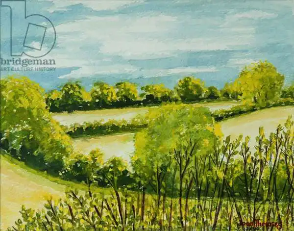 Thewsey, Joa: August Landscape, Suffolk