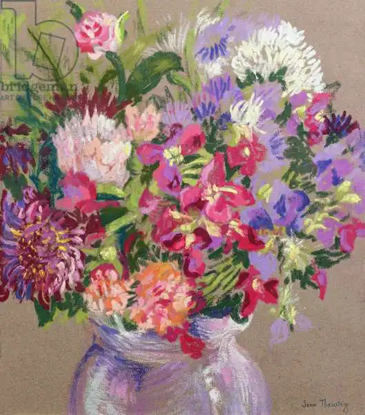 Thewsey, Joa: Asters