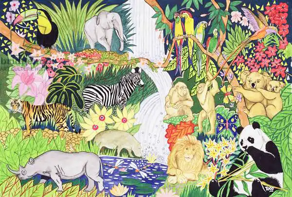 Todd, Tony: Animaux de la jungle