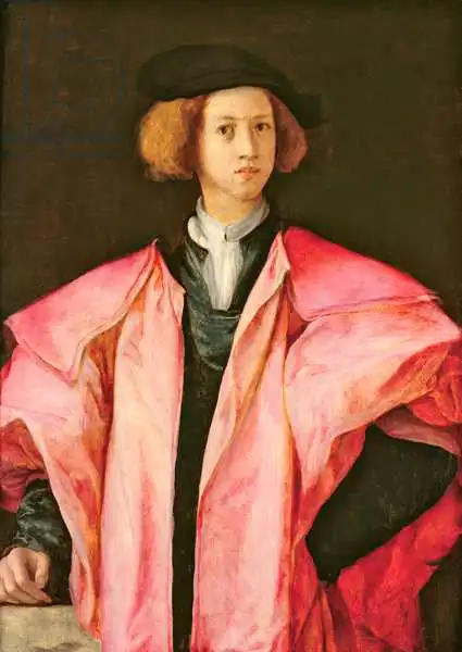 Pontormo, Jacopo: Portrét mladého muže