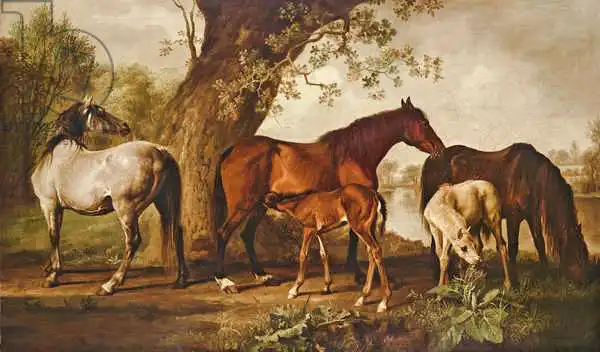 Stubbs, George: Jument et poulains