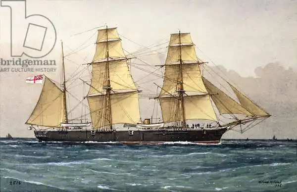 Mitchell, William Frederick: Wild Swan