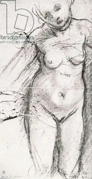 Pontormo, Jacopo: Knee Length Study of a Nude Woman