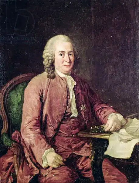 Roslin, Alexander: Portrait de Carl von Linnaeus (1707-78)