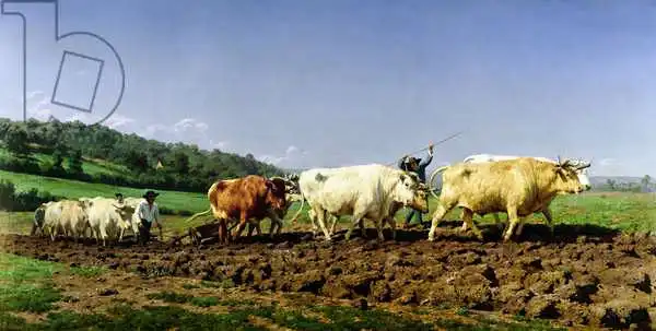 Bonheur, Rosa: Ploughing in Nivernais