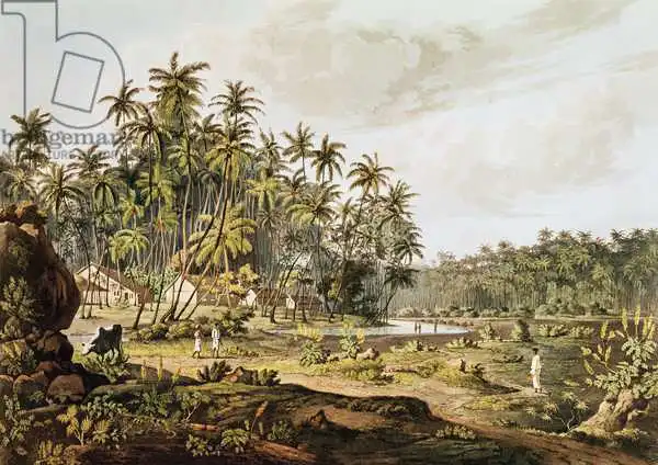 Salt, Henry: View near Point du Galle, Ceylon