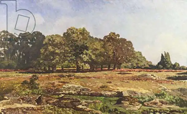 Sisley, Alfred: Avenue of Chestnut Bäume in La Celle-Saint-Cloud, ca. 1866-67