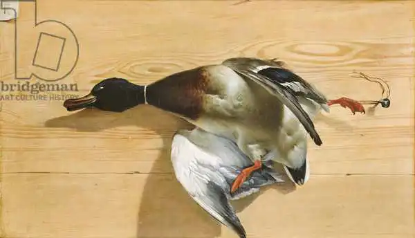 Bachelier, Jean Jacques: Un canard sur une planche de pin