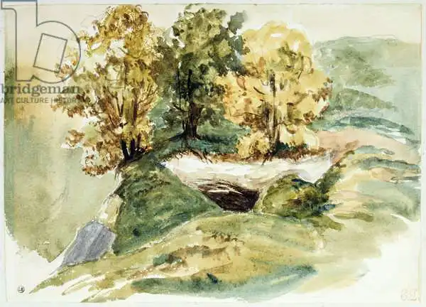 Delacroix, Eugene: Three trees at the edge of a hill