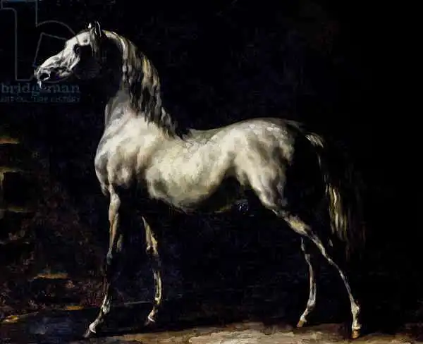 Géricault, Théodore: Study of a Dapple Grey