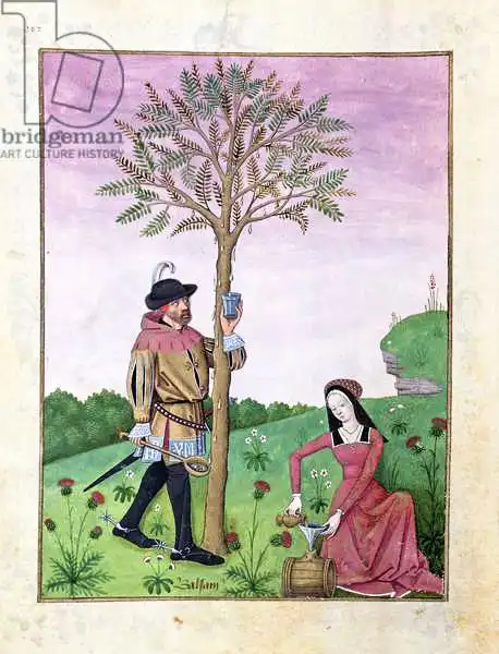 Testard, Robinet: Lavender, Hellebore, and a relative of the Cucumber family