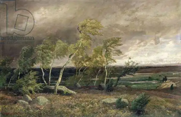Ruths, Valentin: Heath in a Storm