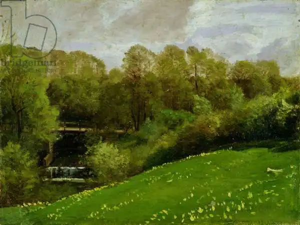 Ruths, Valentin: Meadow and Woodland